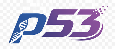 p53